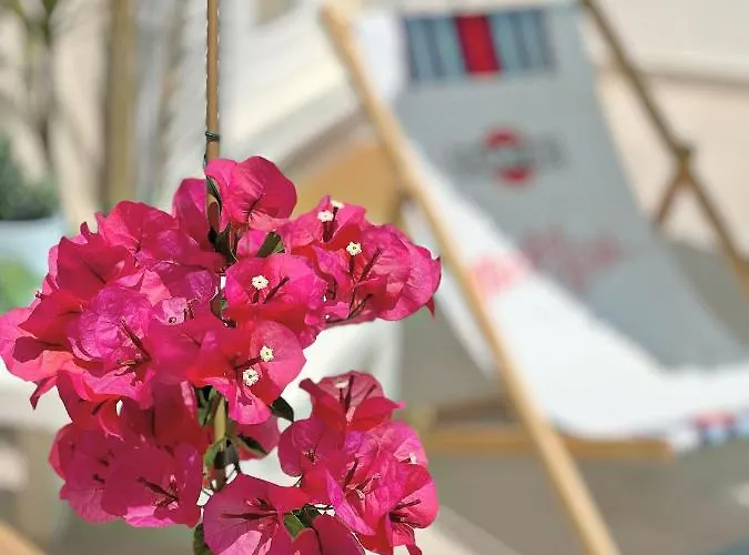 Apartman Laganini Primosten